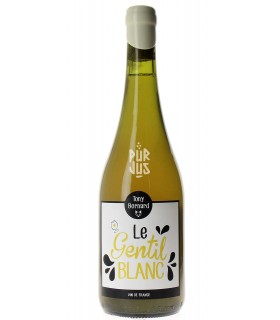 Le Gentil Blanc - 2020 - Tony Bornard