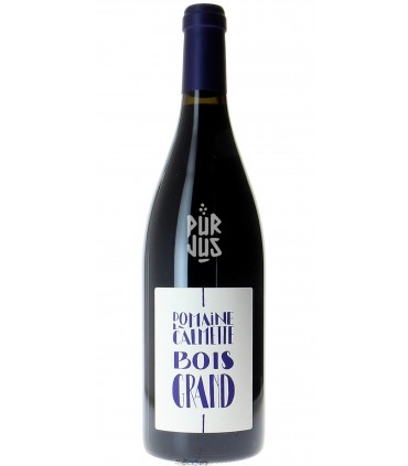 Bois Grand - 2020 - Maya Sallée et Nicolas Fernandez