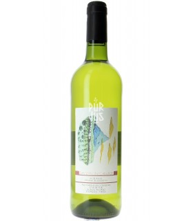 Tir à Blanc - 2022 - Alain Castex