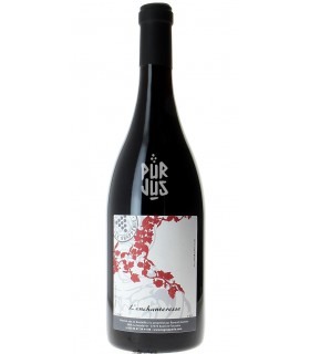 L'Enchanteresse - 2022 - Renaud Guettier