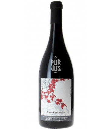 L'Enchanteresse - 2022 - Renaud Guettier