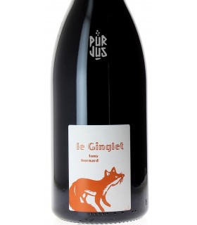 Le Ginglet - 2020 - Tony Bornard - Magnum