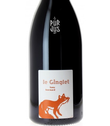 Le Ginglet - 2020 - Tony Bornard - Magnum