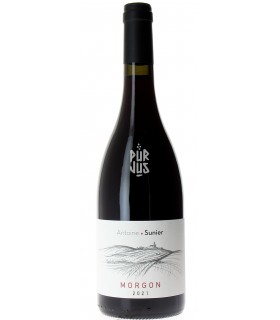 Morgon - 2021 - Antoine Sunier