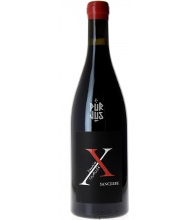 Sancerre Rouge "X" - 2019 - Paul Fouassier