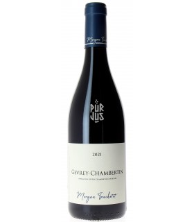 Gevrey Chambertin - 2021 - Morgan et Julie Truchetet
