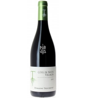 Côte de Nuits Villages - 2021 - Morgan et Julie Truchetet