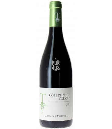 Côte de Nuits Villages - 2021 - Morgan et Julie Truchetet
