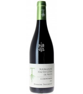 Hautes Côtes de Nuits Rouge - 2021 - Morgan et Julie Truchetet