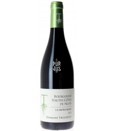 Hautes Côtes de Nuits Rouge - 2021 - Morgan et Julie Truchetet