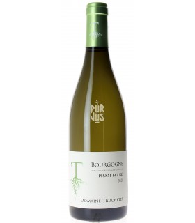 Pinot Blanc - 2021 - Morgan et Julie Truchetet