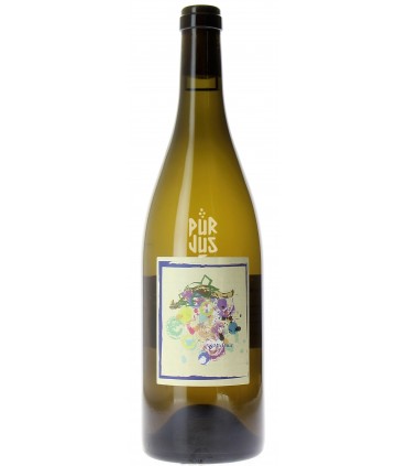 Bondésir - 2020 - Frantz Saumon