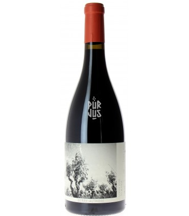 Lopin - 2019 - Imogen Berry et Robin Althoff