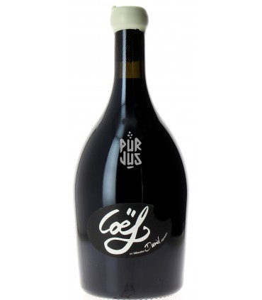 Coëf - 2019 - Sébastien David