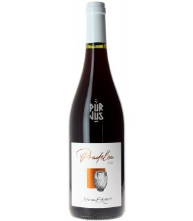 Pradelou - 2021 - Xavier Braujou