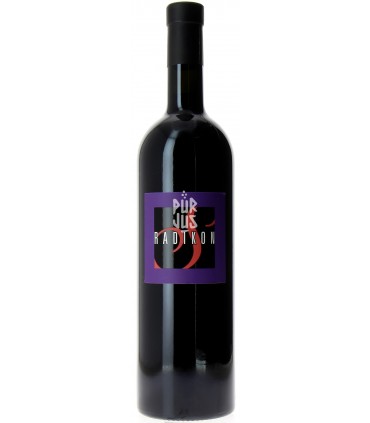 RS21 - 2021 - Saša Radikon