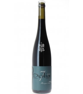 Dolia Grande Jarre - 2018 - Philippe Viret