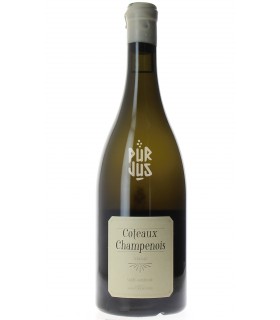 Coteaux Champenois - 2020 - Sébastien Mouzon