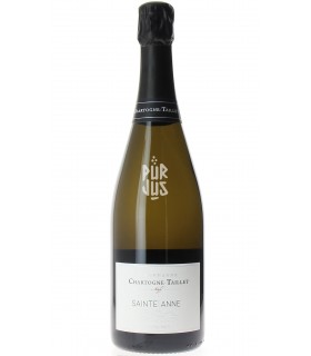 Sainte Anne - 2020 - Alexandre Chartogne