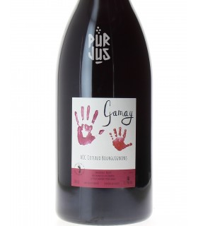 Gamay Côteaux Bourguignons - 2022 - Mélissa Bazin et Romain De Moor - Magnum