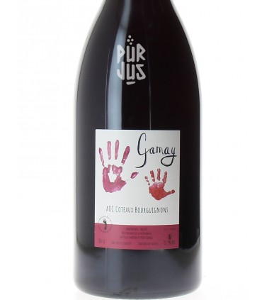 Gamay Côteaux Bourguignons - 2022 - Mélissa Bazin et Romain De Moor - Magnum