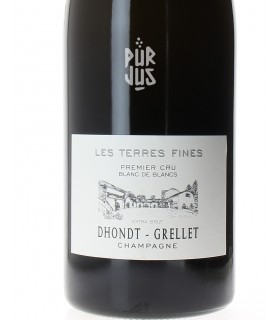 Les Terres Fines Premier Cru - 2019 - Adrien Dhondt - Jéroboam