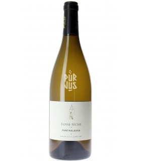 Panthalassa - 2020 - Adrien et Guillaume Pire