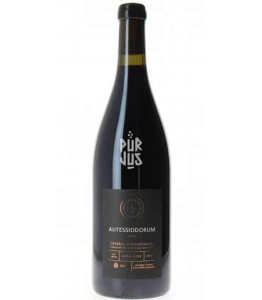 Coteaux Bourguignons César - 2018 - Edouard Lepesme