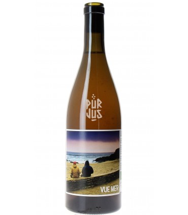 Vue Mer - Matthieu Huet