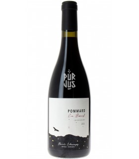 Pommard en Boeuf - 2020 - Boris Champy