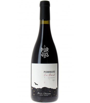 Pommard en Boeuf - 2020 - Boris Champy