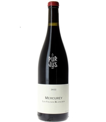 Mercurey "Les Vignes Blanches" Qvevris - 2022 - Frédéric Cossard