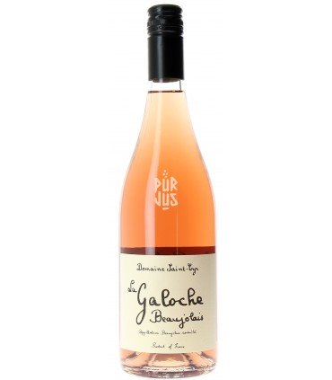 La Galoche Rosé - 2022 - Raphaël Saint-Cyr
