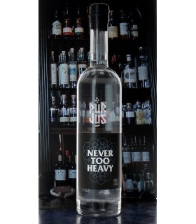 Never Too Heavy - 2021 - Vincent Marie