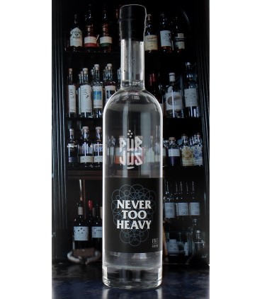 Never Too Heavy - 2021 - Vincent Marie