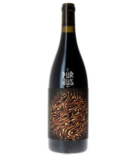 Magma - 2021 - Maxime Roze