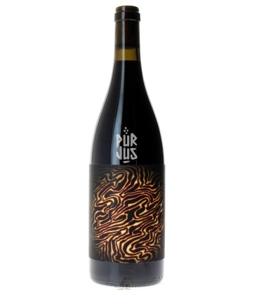 Magma - 2021 - Maxime Roze