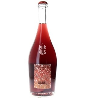 Euphoria - 2023 - Maxime Roze