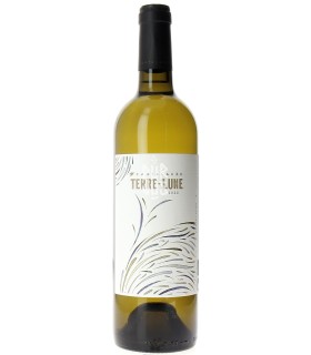 Terre Lune - 2022 - Pauline et Pierre-Olivier Laurent