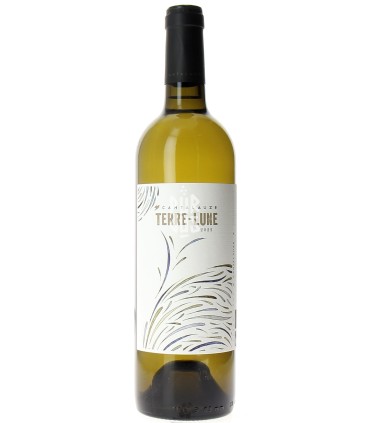 Terre Lune - 2022 - Pauline et Pierre-Olivier Laurent