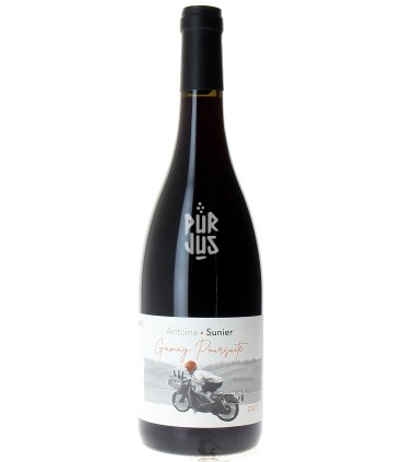 Gamay Poursuite - 2023 - Antoine Sunier