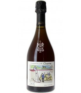 Rosé de Saignée - 2021 - Fabian Daviaux