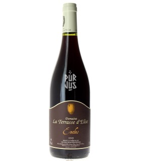 Enclos - 2022 - Xavier Braujou