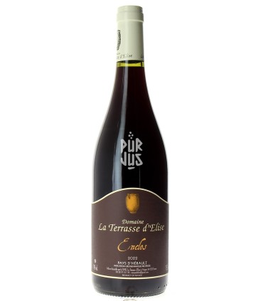 Enclos - 2022 - Xavier Braujou