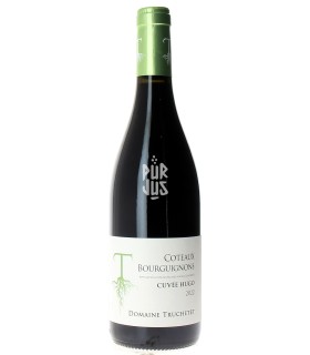 Coteaux Bourguignons "Cuvée Hugo" - 2022 - Morgan et Julie Truchetet