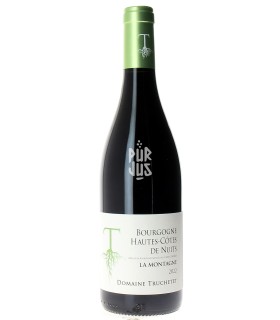 Hautes Côtes de Nuits Rouge - 2022 - Morgan et Julie Truchetet