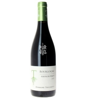 Bourgogne "Fleur de Pinot" - 2022 - Morgan et Julie Truchetet