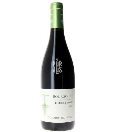 Bourgogne "Fleur de Pinot" - 2022 - Morgan et Julie Truchetet