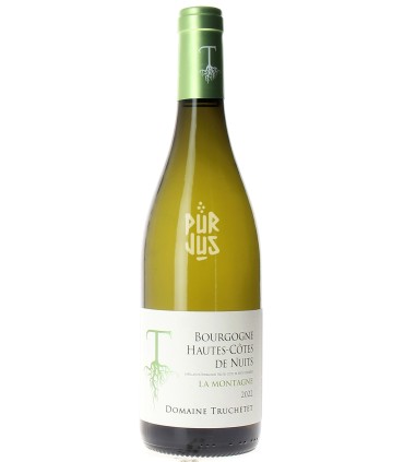 Hautes Côtes de Nuits Blanc "La Montagne" - 2022 - Morgan et Julie Truchetet