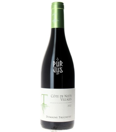 Côte de Nuits Villages - 2022 - Morgan et Julie Truchetet